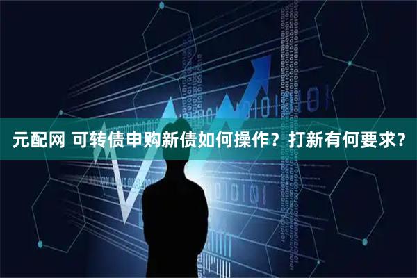 元配网 可转债申购新债如何操作？打新有何要求？