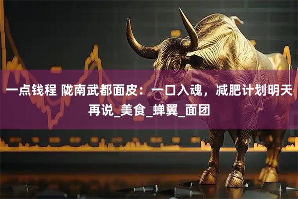 一点钱程 陇南武都面皮：一口入魂，减肥计划明天再说_美食_蝉翼_面团