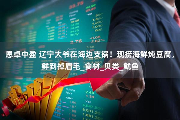 恩卓中盈 辽宁大爷在海边支锅！现捞海鲜炖豆腐，鲜到掉眉毛_食材_贝类_鱿鱼